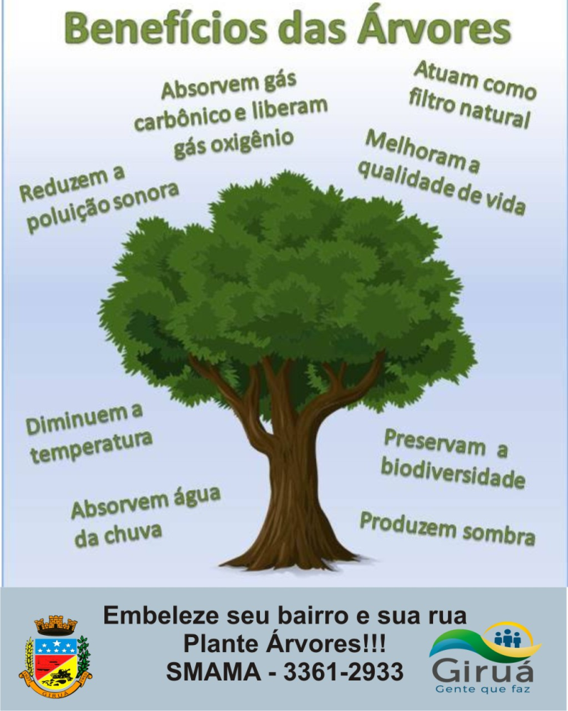 ALERTA E ORIENTAÇÃO SOBRE PODAS